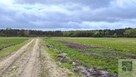 Działka budowlana Rzywno gm. Łabiszyn - 1