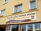 Strzyżenie psów,psa,kota-Kraków Nowa Huta psi
