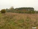 Czarujące Czemlewo - 5