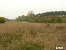 Czarujące Czemlewo - 6