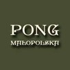 Profesjonalna Opieka Nad Grobem Małopolska-sprzątanie  - 8