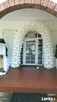 BALONY na wesele slub biale perlowe kolorowe bal impreza wow - 8