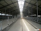 KONSTRUKCJE STALOWE, HALE NAMIOTOWE, PRODUKCJA - 1