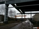 Hala do wynajęcia Szczecin ul. Struga - 6