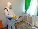 Usuwanie Zwalczanie Pluskiew Zamgławiaczem UVL Wymrazanie - 2