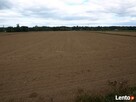 Sprzedam ziemię rolną Drwały koło Wyszogrodu - 4