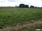 Sprzedam ziemię rolną Drwały koło Wyszogrodu - 6