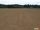 Sprzedam ziemię rolną Drwały koło Wyszogrodu - 3