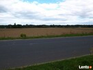 Sprzedam ziemię rolną Drwały koło Wyszogrodu - 5