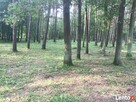 Działka rekreacyjno/budowlana- Brańszczyk nad Bugiem - 3