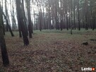 Działka rekreacyjno/budowlana- Brańszczyk nad Bugiem - 5