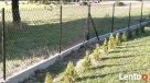 Siatka ogrodzenia 65x65mm 2,5/3,6mm h-150cm PCV - 7