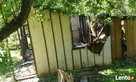 Karczowanie pni, koszenie,pomoc przydomowa itp. - 6