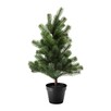 Choinka dla dzieci 50-60cm - 2