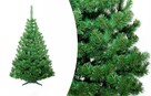 CHOINKA JODŁA POLSKA NATURALNA Od 60 - 220 cm - 4