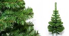 CHOINKA JODŁA POLSKA NATURALNA Od 60 - 220 cm - 5