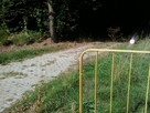 Działka budowlana (2000m2) 20 arów - 4