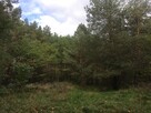 Działka siedliskowa 4 000m2 we wsi Wierzchownia,gmina Górzno - 2