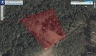 Działka siedliskowa 4 000m2 we wsi Wierzchownia,gmina Górzno - 8