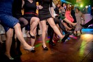 Śpiewający grający wodzirej z akordeonem na wesele poprawiny - 8