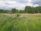 Sprzedam działkę budowlaną w Błażejewku nad jeziorem 25 min - 6