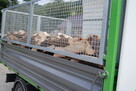 Drewno drzewo opałowe kominkowe iglaste opał - 2