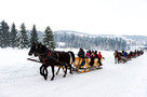 Obozy zimowe 2025 - Białe Szaleństwo - Zakopane - ViaCamp.pl - 3