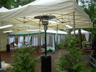 Grzybek, parasol grzewczy wypożyczalnia, wynajem Warszawa - 1