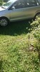 Vw polo 1.4 tdi comfort prywatny - 3