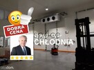 Chłodnia do wynajęcia - Marki Warszawa 2000 m2 - 8