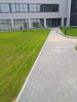 Hydrosiew Hydroobsiew realizacje na terenie Polski! - 4