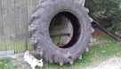 Opona rolnicza 16.9 28 - 6