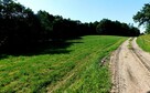 Stary Folwark, Atrakcyjna działka pod zabudowę 9.7461 ha - 5