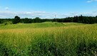 Stary Folwark, Atrakcyjna działka pod zabudowę 9.7461 ha - 4