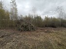 Kompleksowe porządkowanie działek, wycinka samosiewów - 4