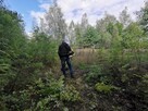 Kompleksowe porządkowanie działek, wycinka samosiewów - 2