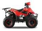 QUAD atv 125 BIGFOOT 7 AUTOMAT + WSTECZNY od ręki dla dziecka - 3