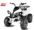 QUAD atv 125 WARRIOR AUTOMAT lub 3 BIEGI KOŁA 8 dla dziecka - 4