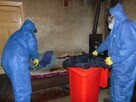 Vector Sprzątanie po Zmarłych Zgonach Zwłokach Dezynfekcja - 3