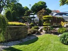 Bonsai do ogrodu -szkółka NIWAKI Bielsko Biała śląskie - 5
