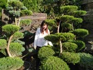 Bonsai do ogrodu -szkółka NIWAKI Bielsko Biała śląskie - 10