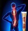 BOLĄCE KOLANA, KRĘGOSŁUP REGENERUJĄCY ŻEL ORTHOPYT - 11
