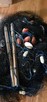 Sieci rybackie wonton żak drgawica przywłoka - 2