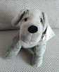 Stoper do drzwi blokada holder pies terier dog - 6