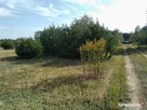 Działka gm. Aleksandrów Łódzki - Ciężków