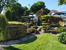 Drzewa i krzewy formowane Bonsai Niwaki - dostawa ! - 9