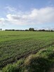 Działka siedliskowa z warunkami zabudowy- Białogarda - 7