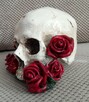 Czaszka w czerwonych różach skull red roses - 2