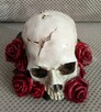 Czaszka w czerwonych różach skull red roses - 5