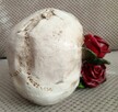 Czaszka w czerwonych różach skull red roses - 4